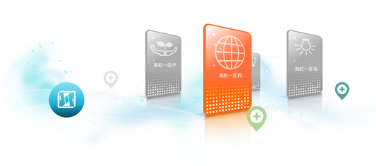 海虹醫藥網 計算機信息系統集成及技術服務在醫藥領域的深度融合